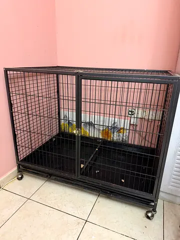 Dog cage