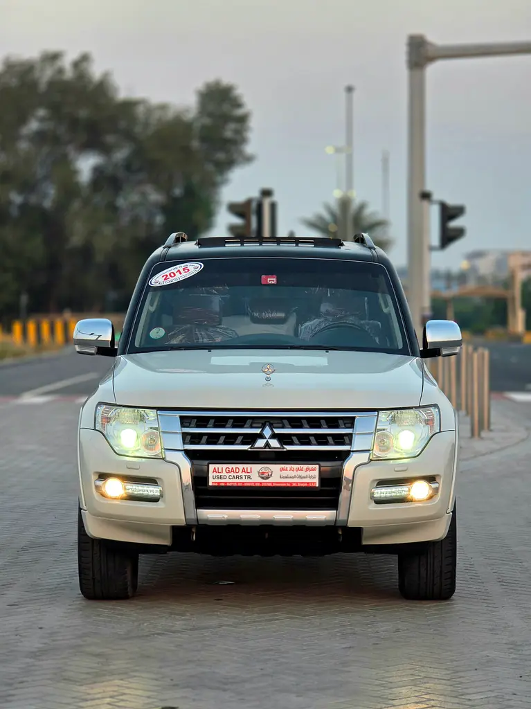 Mitsubishi Pajero 2015 — photo 1 of 20