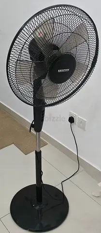 Fan