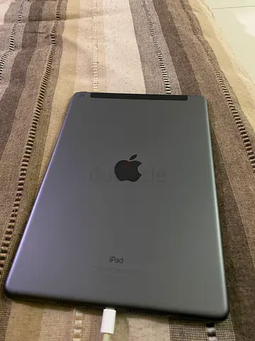 iPad 9th Generation 256 GB