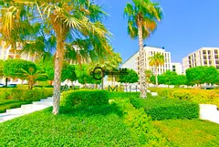 Spacious Modern Studio Apartment for Rent in Al Mamsha Sharjah | Prime Location | Stylish Open Layou