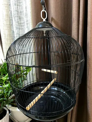 cage with stand