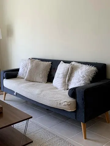 Free Sofa