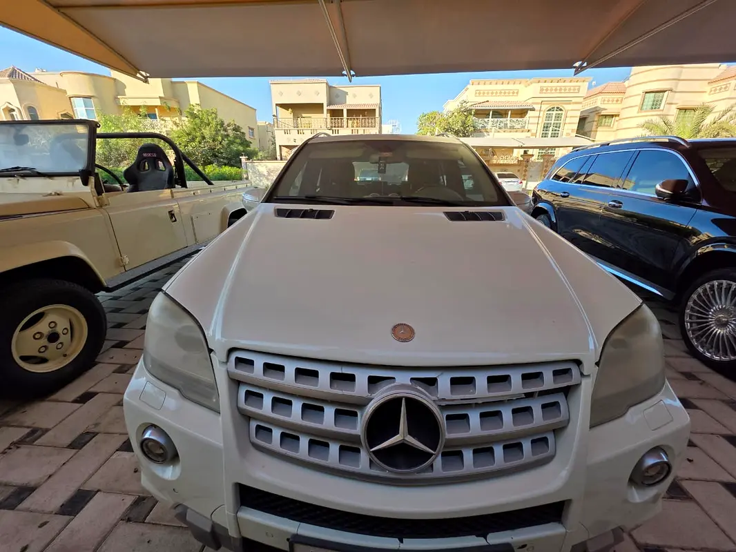 Mercedes-Benz M-Class 2010 — photo 1 of 9