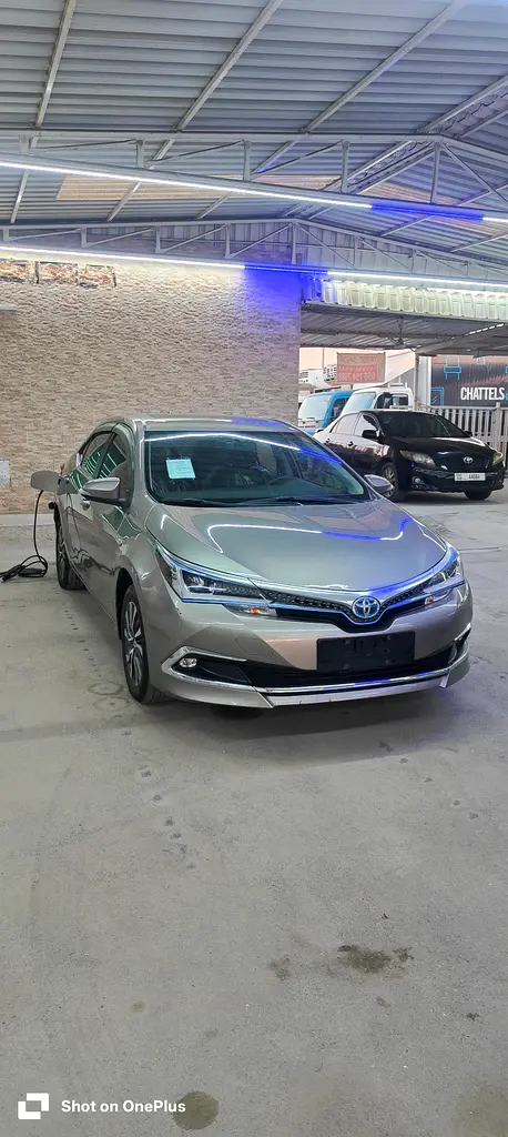 Toyota Corolla 2019 — photo 1 of 19