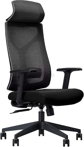 Ergonomic Computer Chair
