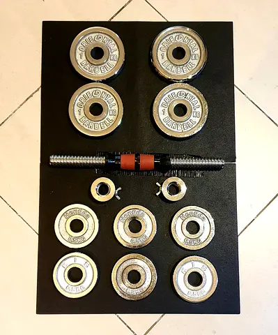 Dumbbell weight plate rod chrome silver