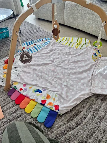 Lovevery Play Gym