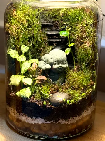 20cm Buddha Moss Terrarium Jar with Built-in LED Grow Light – Live Miniature Ecosystem