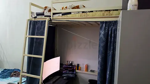 Loft Bed with below space to put standing desk set up in bachelor room. Trading/work setup bunker