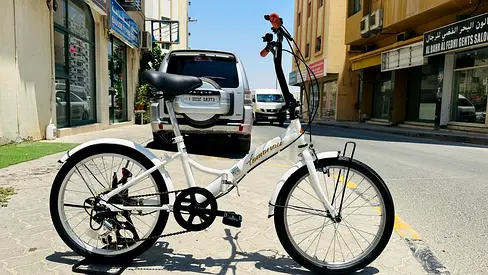 Tamanau Japanese bike20”