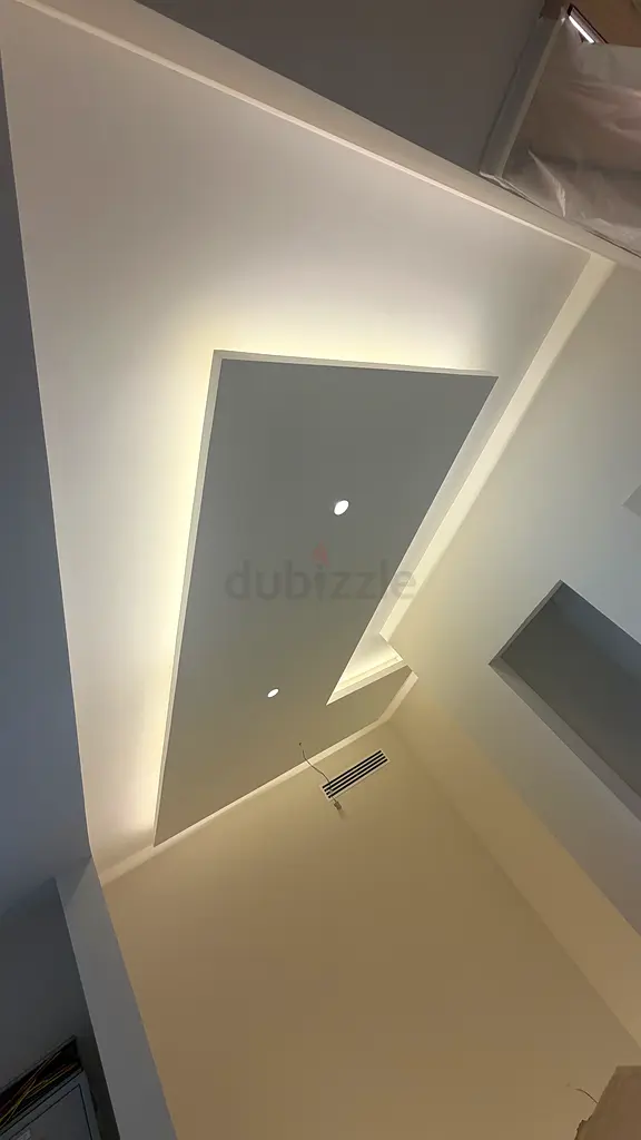 DPV_View_Image_2