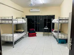 Ladies bachelor bed space available