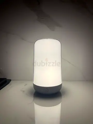 Standing Lamp (Multiple Colors and Intensity)