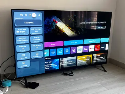 LG OLED 55 on warranty