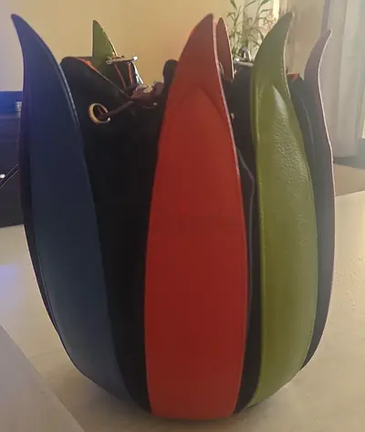 Multi-Colored Tulip Pure Leather Hand Bag - Excellent Condition