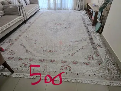 Large traditional light-colored living room rug - excellent condition