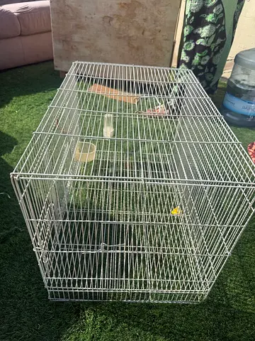White metal bird cage - medium size, used