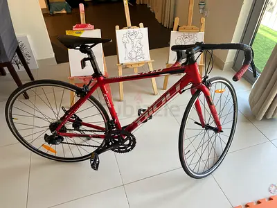 Diou 700C Red Road Bike