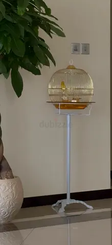 Bird cage