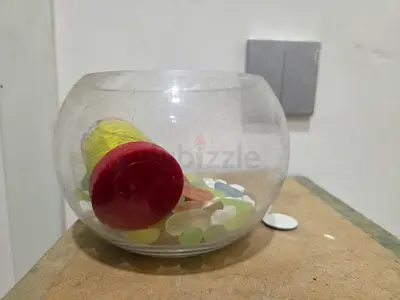 Decorative Glass Bowl with Stones