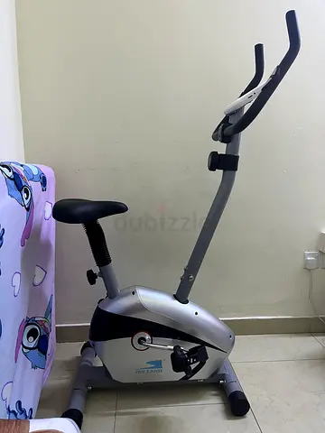Sky Land Upright magnetic Bike