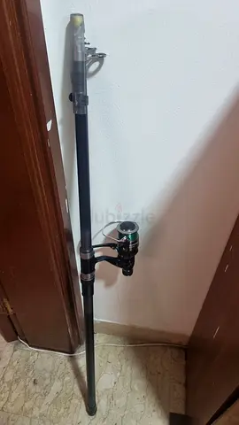 Fishing rod and kit