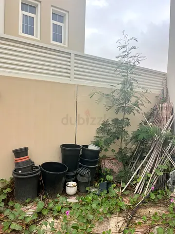 Assorted Plastic Plant Pots - Various Sizes (Outdoor)