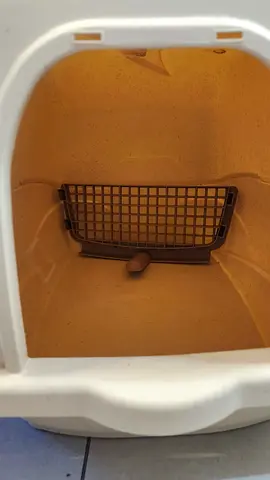 Plastic Cat Litter Box / Carrier (Used, Good Condition)
