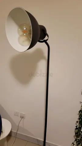 الراشدية