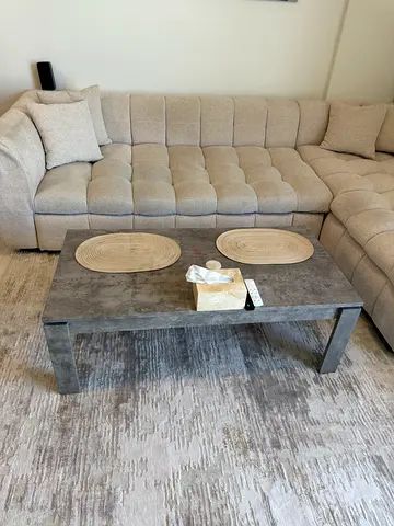 Stylish Coffee table with a side table