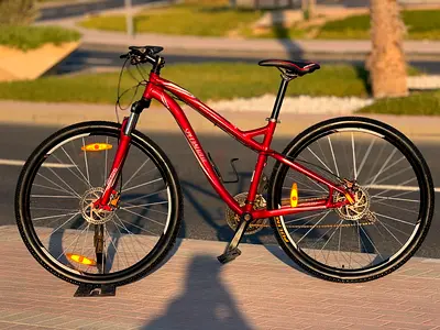 Specialized mtb/29