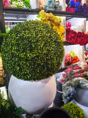 Premium Home Decor