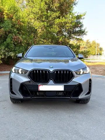 2026 BMW X6 缩略图 3