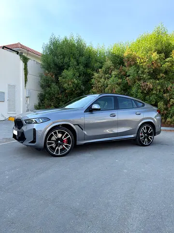 2026 BMW X6 缩略图 2