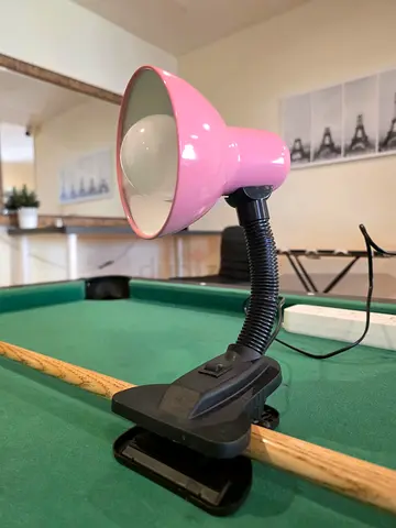 Pink Clip-On Desk/Reading Lamp with Flexible Neck