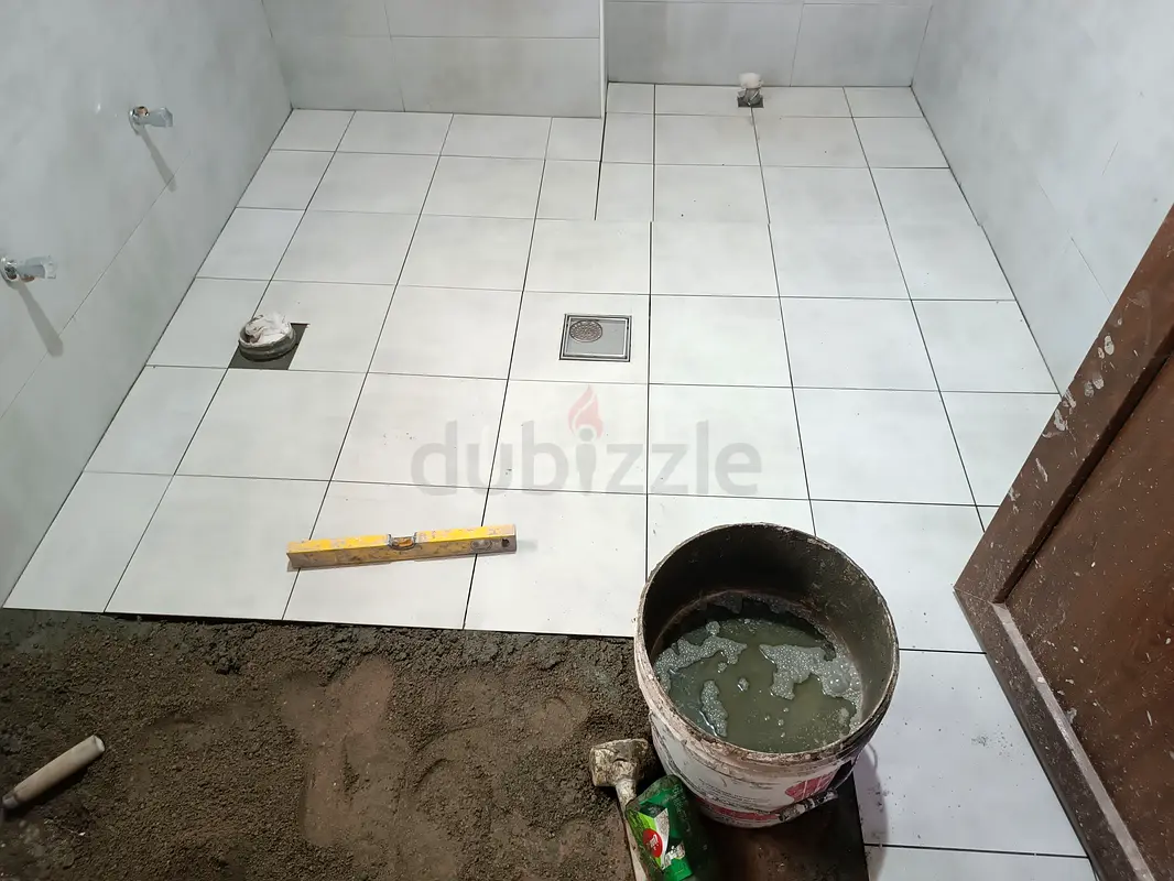 DPV_View_Image_2
