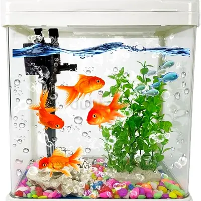 Aquariums with Filter and Light