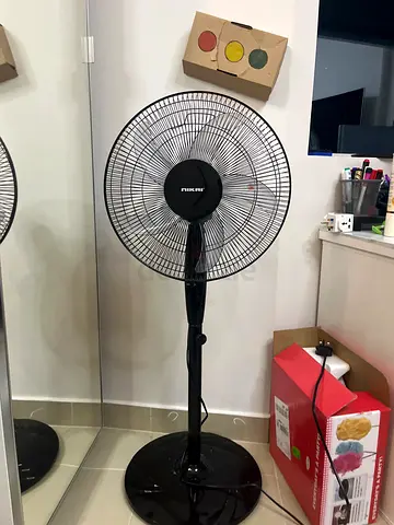 Big fan