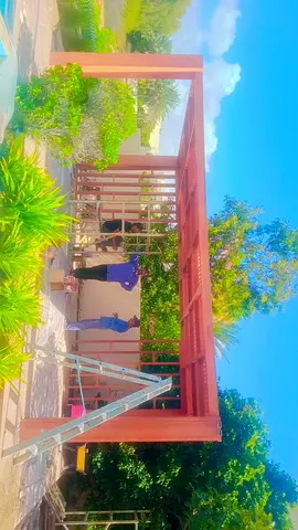 Wooden pergola