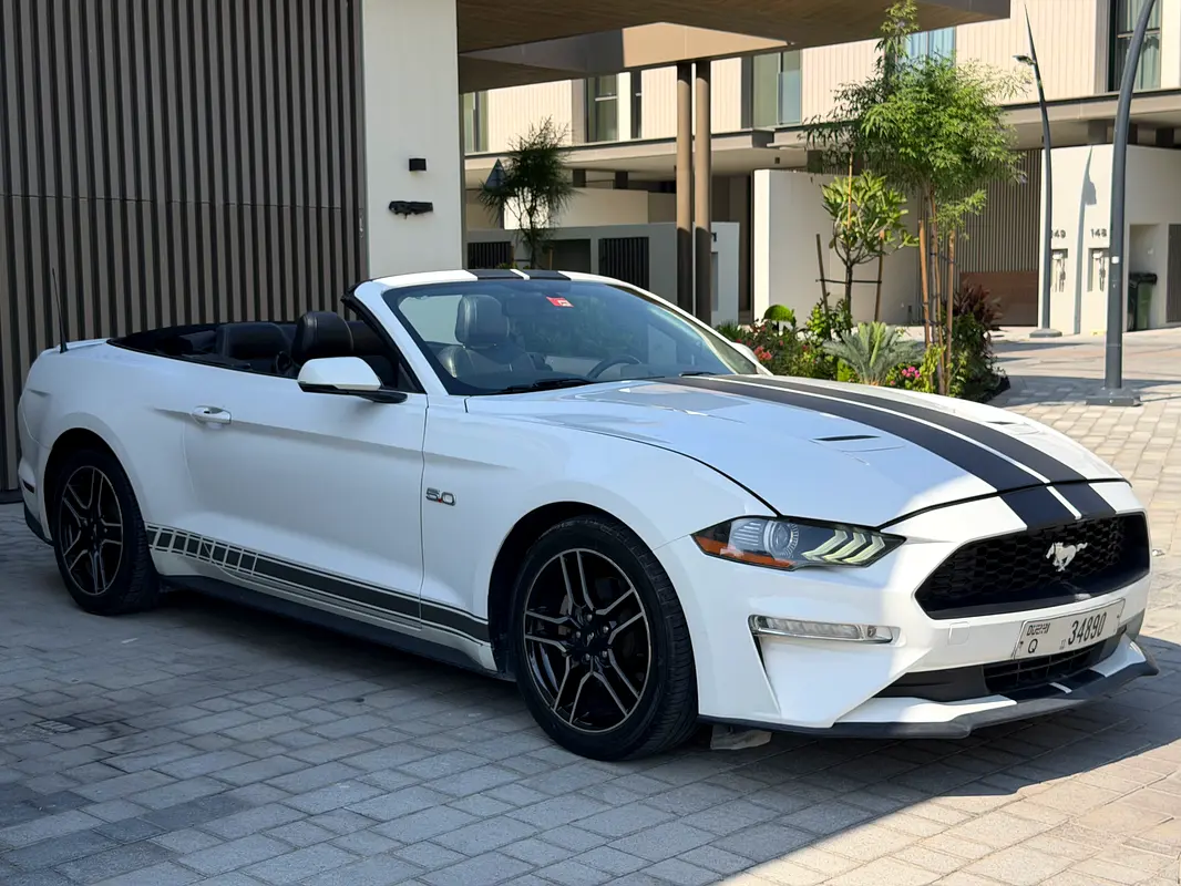 Ford Mustang 2019 — photo 1 of 11
