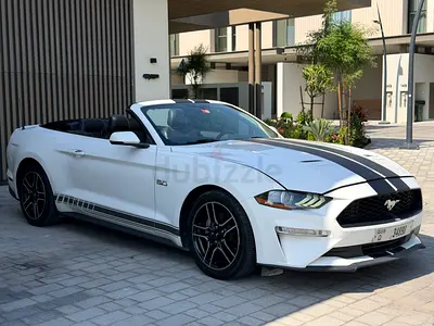 2019 FORD MUSTANG ECOBOOST | GT BODYKIT | EXCELLENT CONDITION