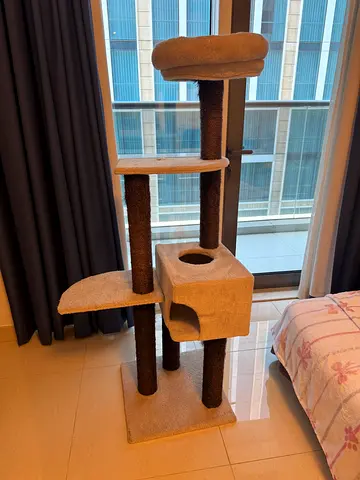 Cat stand