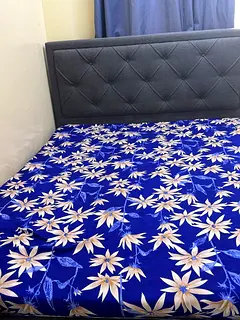 Room for Rent with attached washroom