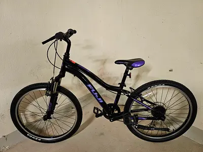 Fuji Dynamite 24 Comp Mountain bike