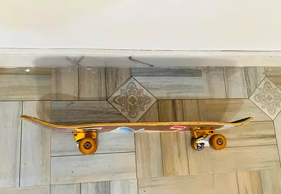 Skateboard (Spitfire Wheels / Thunder Trucks)