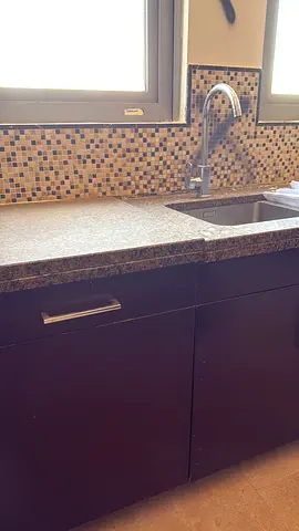 Stainless steel kitchen sink