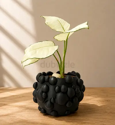 🔥 SALE / Designer Plant Pots / Size S 🔥