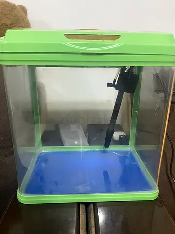 New Fish Tank