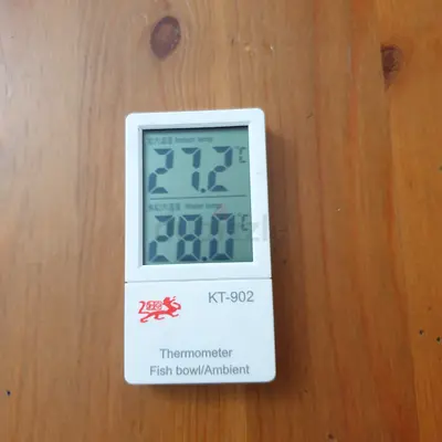 Aquarium Digital Temperature Meter For Sale